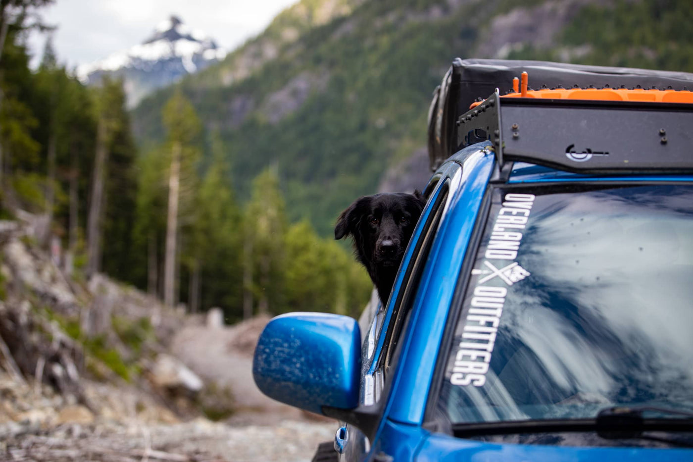 Blue truck with a black dog on a mountain road
