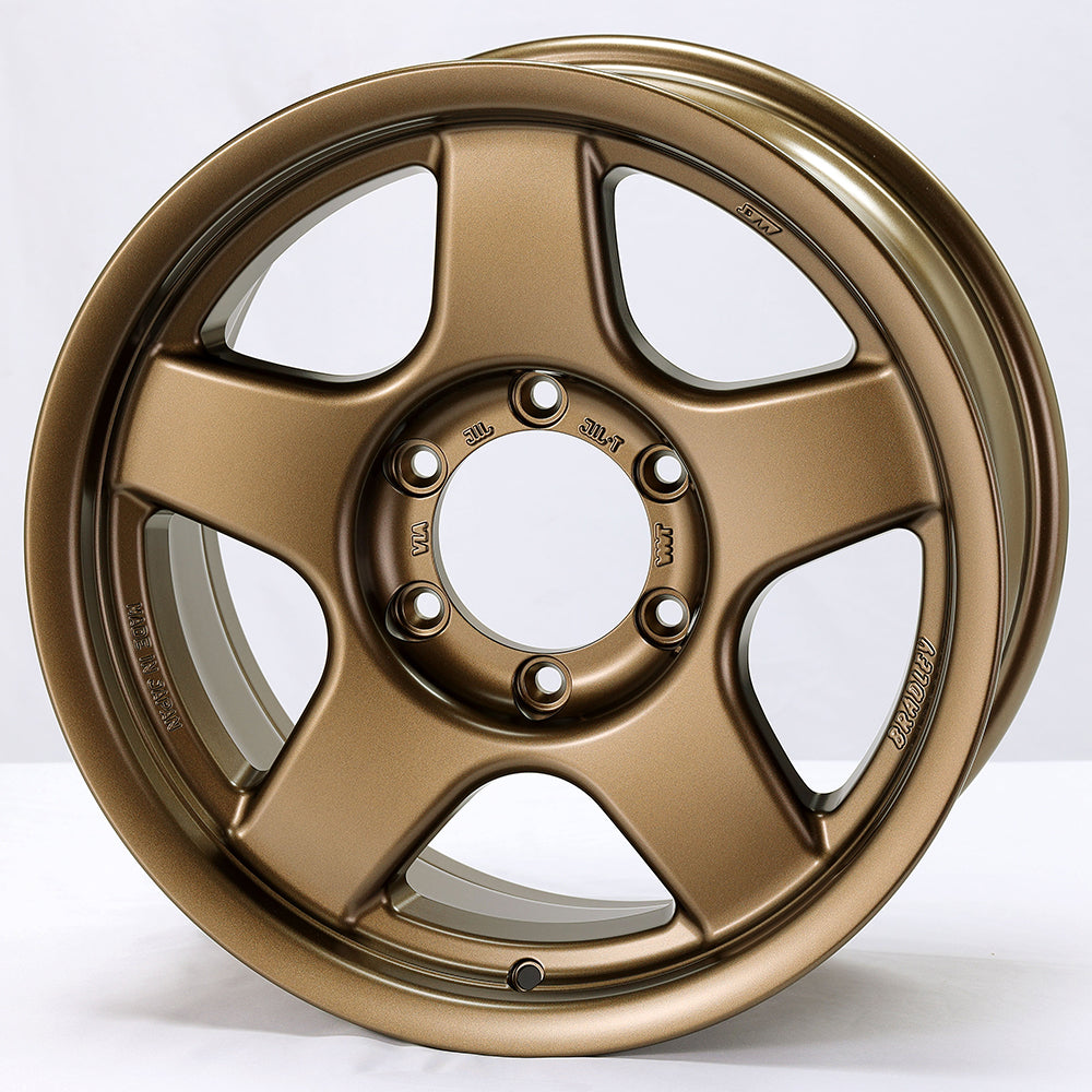 Bronze alloy wheel on a white background