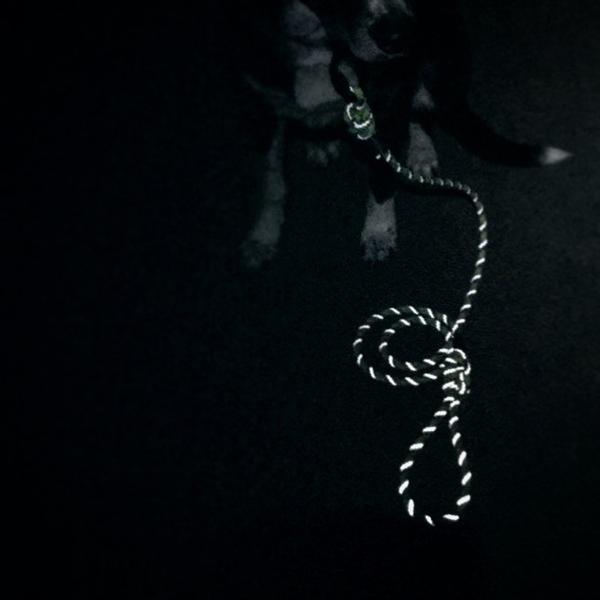Wilderdog Big Reflective Rope Leash - Overland Outfitters