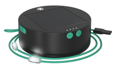 Luci Solar String Lights - Vancouver, BC