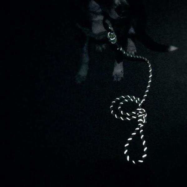 Wilderdog Reflective Rope Collar - Canada